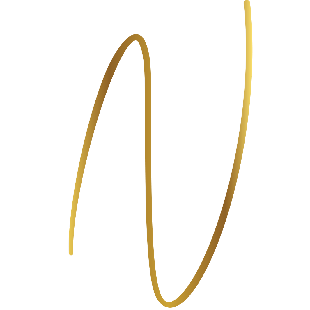 Next Info Systems Logo